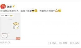 谢娜微信内容爆料最新,揭秘明星圈最新动态！