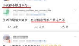 娱乐圈深度爆料知乎小说,揭秘明星背后的真相与秘密