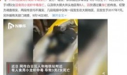 爆料假酒制作视频教程,跟随教程学习制假技巧