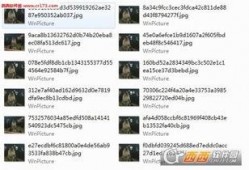 大事件爆料搞笑视频下载,搞笑视频下载，笑料横飞，欢乐无限！