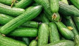 免费吃瓜最新入口,畅享无界限的娱乐盛宴