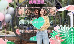 爆料彩虹事件视频大全集,揭秘网络爆红瞬间