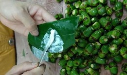 槟榔的制作爆料视频教程,从采摘到成品，一探究竟