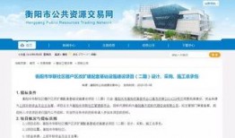 衡阳最新爆料,揭秘背后惊人真相！