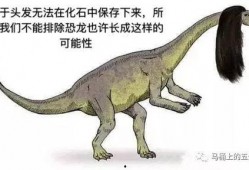 有网友爆料恐龙的视频吗,恐龙重现人间？网友热议神秘恐龙视频