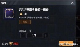 和平精英新军需反场最新爆料,神秘爆料揭示全新战装来袭！