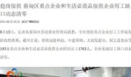 蔡甸媒体爆料新闻,重大事件引发社会关注