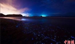 星空最新爆料,揭秘神秘宇宙事件背后的惊人真相