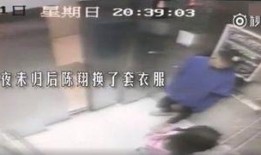 陈翔博主爆料了吗视频在线观看,揭秘幕后真相