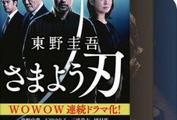 wowow在线观看,揭秘WoWOW在线观看的奇幻之旅