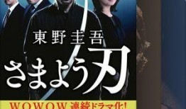 wowow在线观看,揭秘WoWOW在线观看的奇幻之旅
