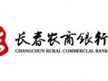 长春发展农商银行最新爆料,揭秘业务创新与市场布局新动向