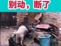 爆料视频 搞笑