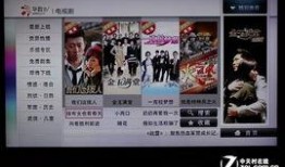 华数电视直播在线观看,畅享海量频道，尽享在线视听盛宴