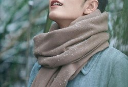 杨紫肖战娱乐爆料,揭秘明星幕后故事