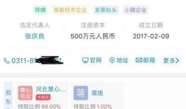 网络上的爆料视频是否属实,真相与谣言的较量