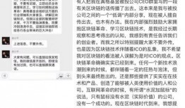 爆料徐小平视频,揭秘创业圈真实内幕