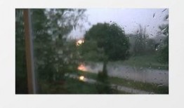 雨中的树在线观看,诗意盎然的视觉盛宴