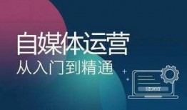 如何约稿爆料视频赚钱,轻松实现财富增长