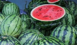 常州网红吃瓜事件真相,揭秘背后真相与争议