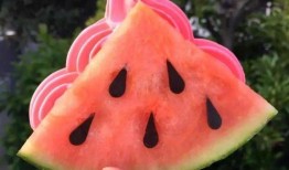 网红宿舍吃瓜,揭秘宿舍里的“吃瓜”风云