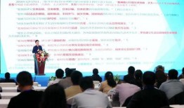 萌萌龟业爆料视频大全,视频大全精彩瞬间回顾