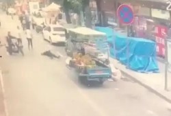 山东淄博爆料事件最新,揭开背后真相，探寻城市治理新篇章