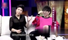 爆料华晨宇恋情事件视频,视频揭秘明星背后的甜蜜瞬间