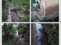 孙女爆料养猪场视频在线观看,养猪场真实内幕视频震撼曝光