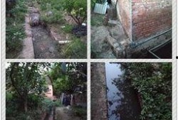孙女爆料养猪场视频在线观看,养猪场真实内幕视频震撼曝光
