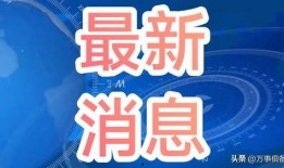 新闻1十1爆料,揭秘事件背后真相