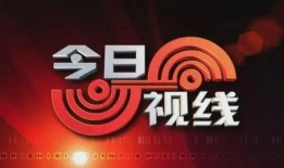 今日视线爆料电话,独家内幕大公开