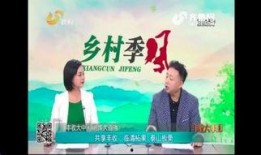 镇长 在线观看,在线观看揭秘权力与民生