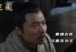 新三国73集在线观看,英雄末路，乱世风云再起