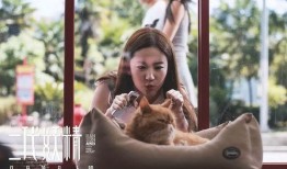 二代妖精在线观看,人妖情缘，奇幻世界里的爱恨纠葛