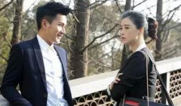 电视剧继承人全集在线观看,家族纷争，情感纠葛，揭秘豪门秘事