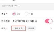 视频投稿爆料怎么写好,如何撰写引人入胜的概述文章副标题