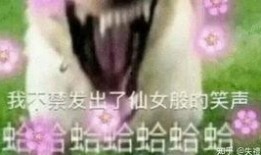 摸鱼吃瓜甩锅视频大全免费观看