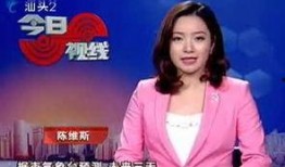 今日视线爆料电话,独家内幕大公开
