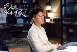 张小寒爆料黄景瑜视频,真相背后引热议