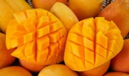 芒果和百色最新爆料,揭秘背后惊人真相