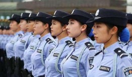 西藏警察爆料案件最新消息,重大案件进展及细节披露