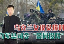 俄乌战争的最新爆料视频