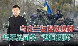 俄乌战争的最新爆料视频