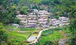 郑州保合寨最新爆料新闻