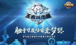 南京王者队员爆料视频,揭秘战队幕后故事与精彩瞬间