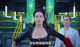 狗仔爆料明星有假的吗视频,明星虚假视频背后的真相