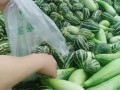 农村大叔免费吃瓜视频,视频走红网络，揭秘乡村生活新风尚