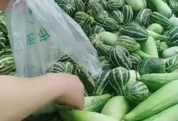 农村大叔免费吃瓜视频,视频走红网络，揭秘乡村生活新风尚
