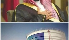 阿拉伯人爆料视频网站,揭秘热门视频网站背后的真相